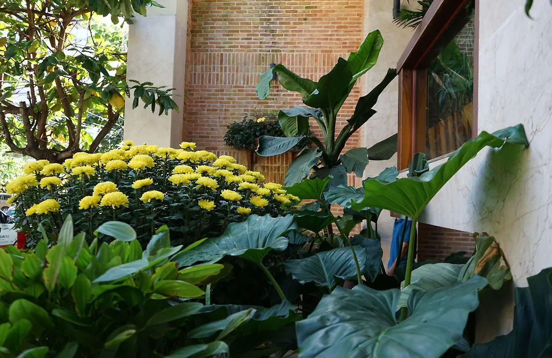 Seasing Boutique Hotel-1